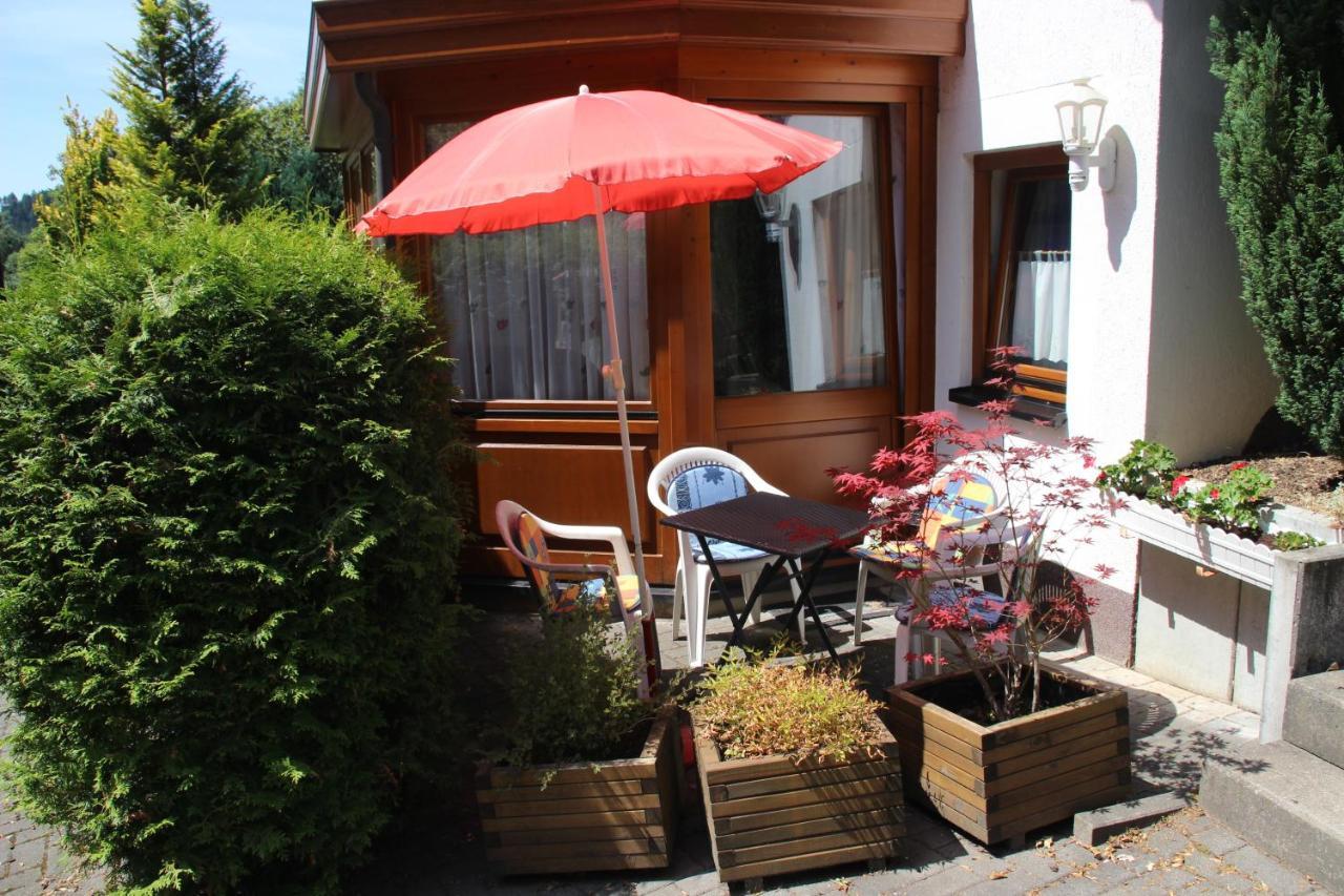 Haus Hirtenbergblick * Lonau