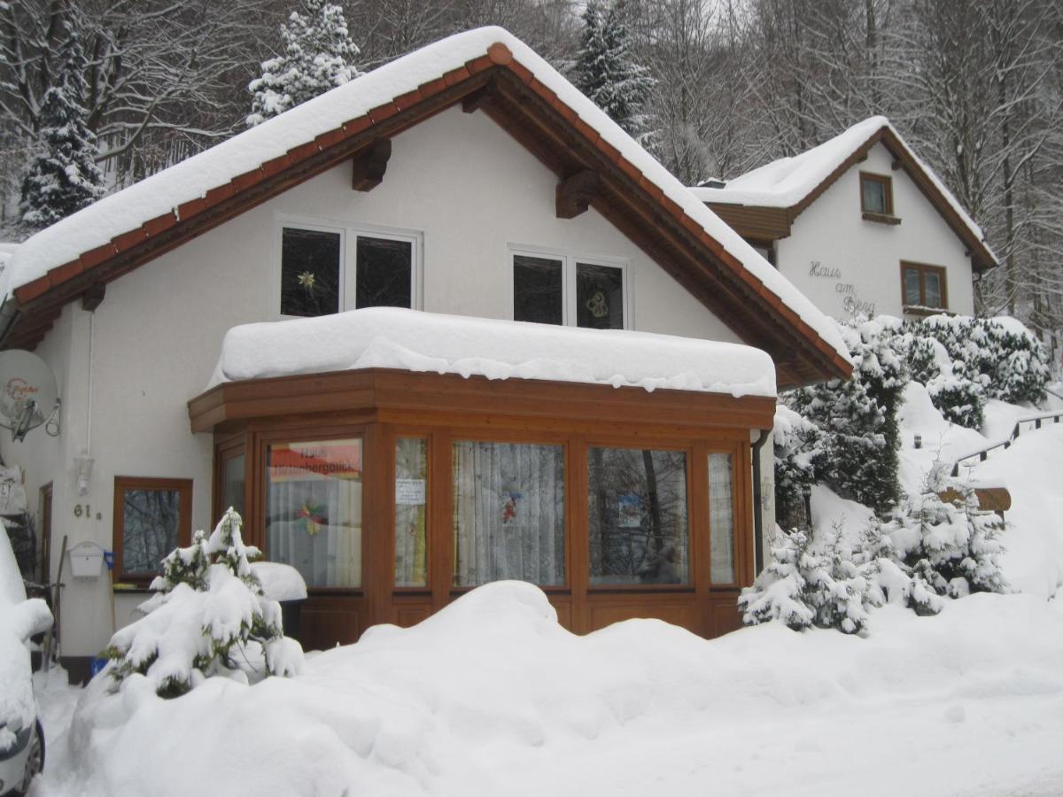 Haus Hirtenbergblick * Lonau