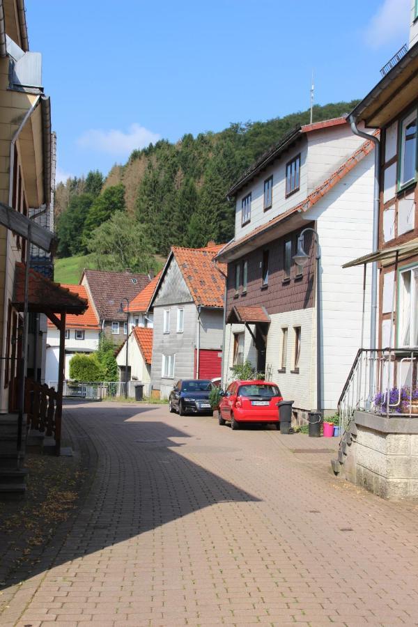 Apartment Haus Hirtenbergblick Lonau