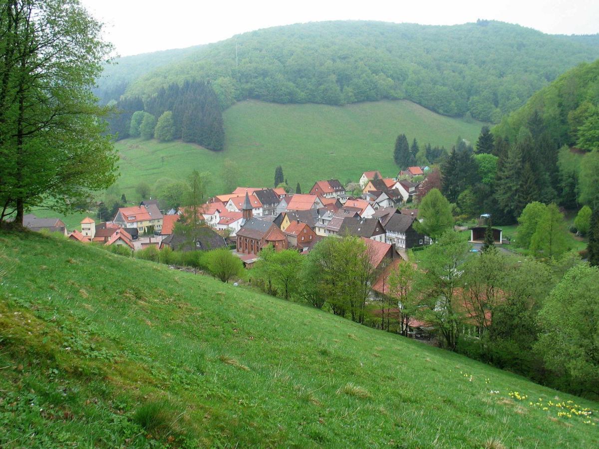 Apartment Haus Hirtenbergblick Lonau