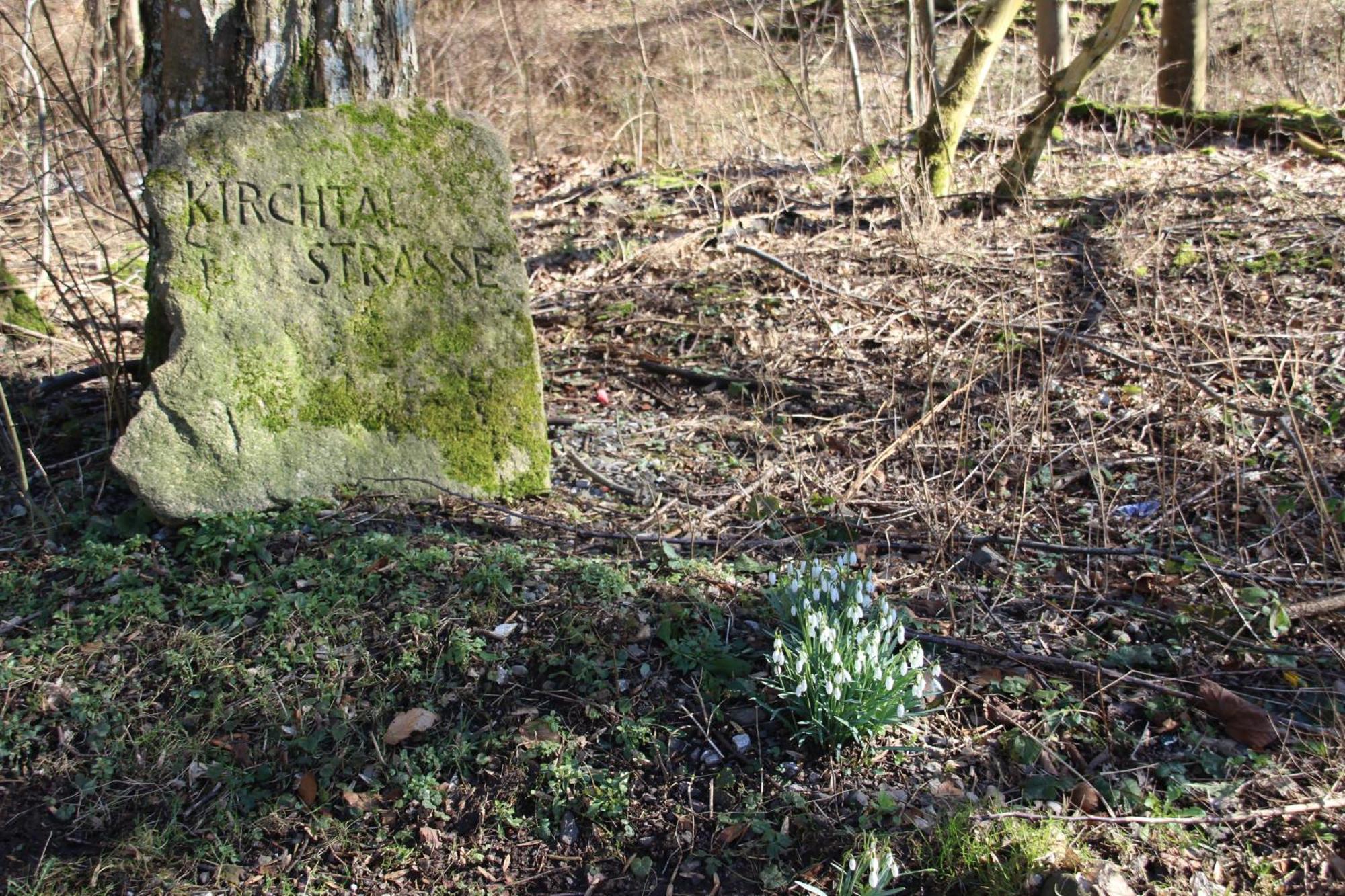 Haus Hirtenbergblick * Lonau